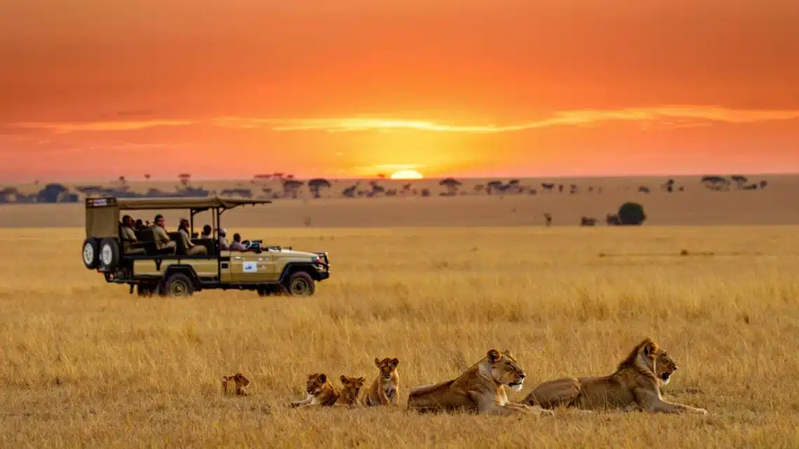 Safari en Afrique du Sud à prix cassé : l’astuce folle pour vivre le rêve sans se ruiner !