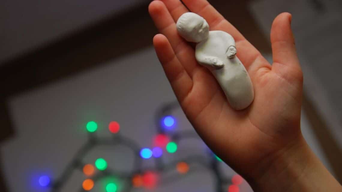 Bornéo: La destination oubliée en Malaisie