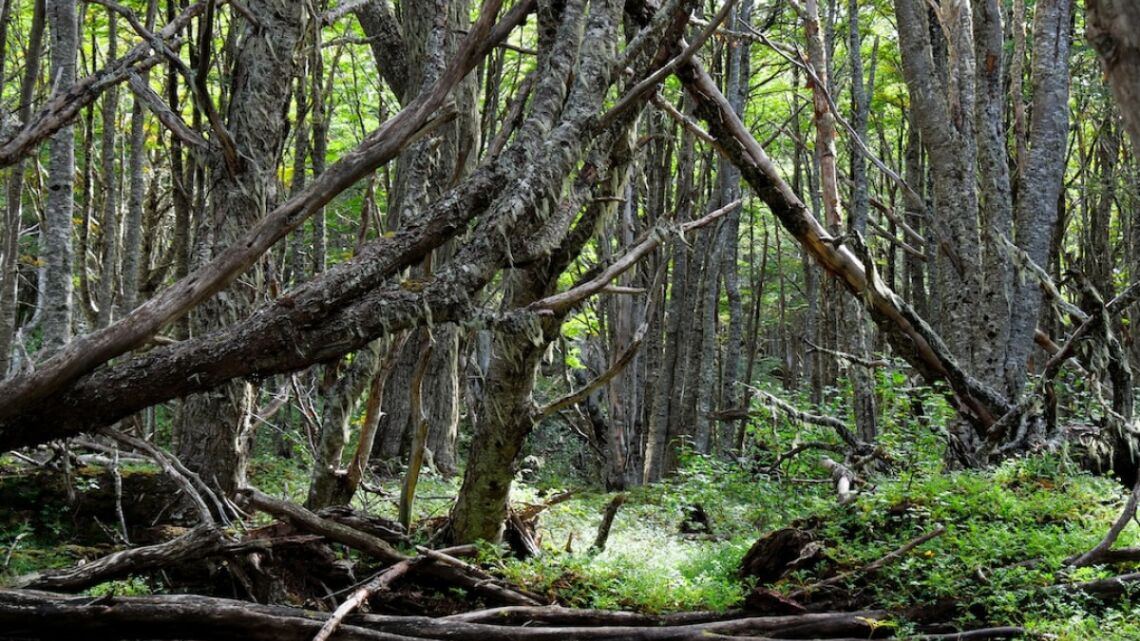 Chili : que visiter et faire en voyage ?