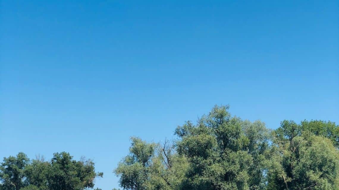 Comment ne pas avoir peur de prendre l&rsquo;avion ?