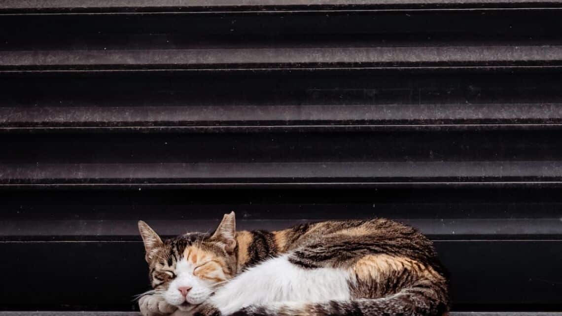 L&rsquo;essentiel des choses à voir au Laos
