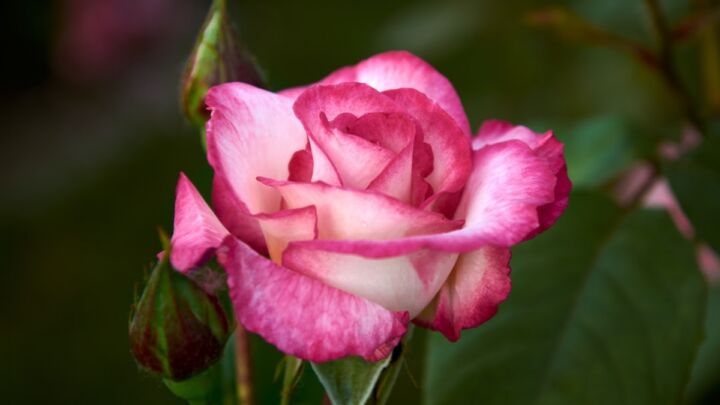 Les plus belles villes du monde