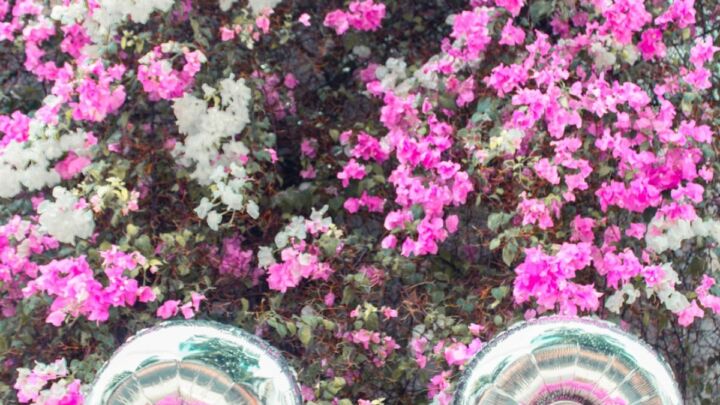 Où loger aux 4000 îles au Laos ?