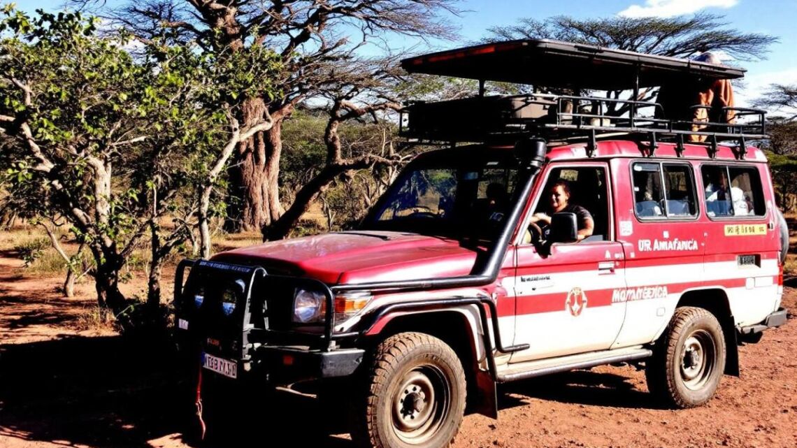 Acheter un 4×4 à Madagascar : Le guide ultime pour dompter la piste