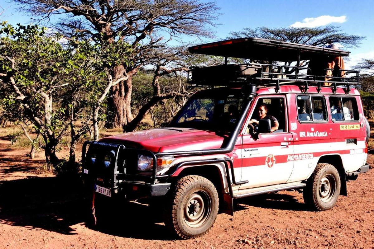 Acheter un 4×4 à Madagascar : Le guide ultime pour dompter la piste